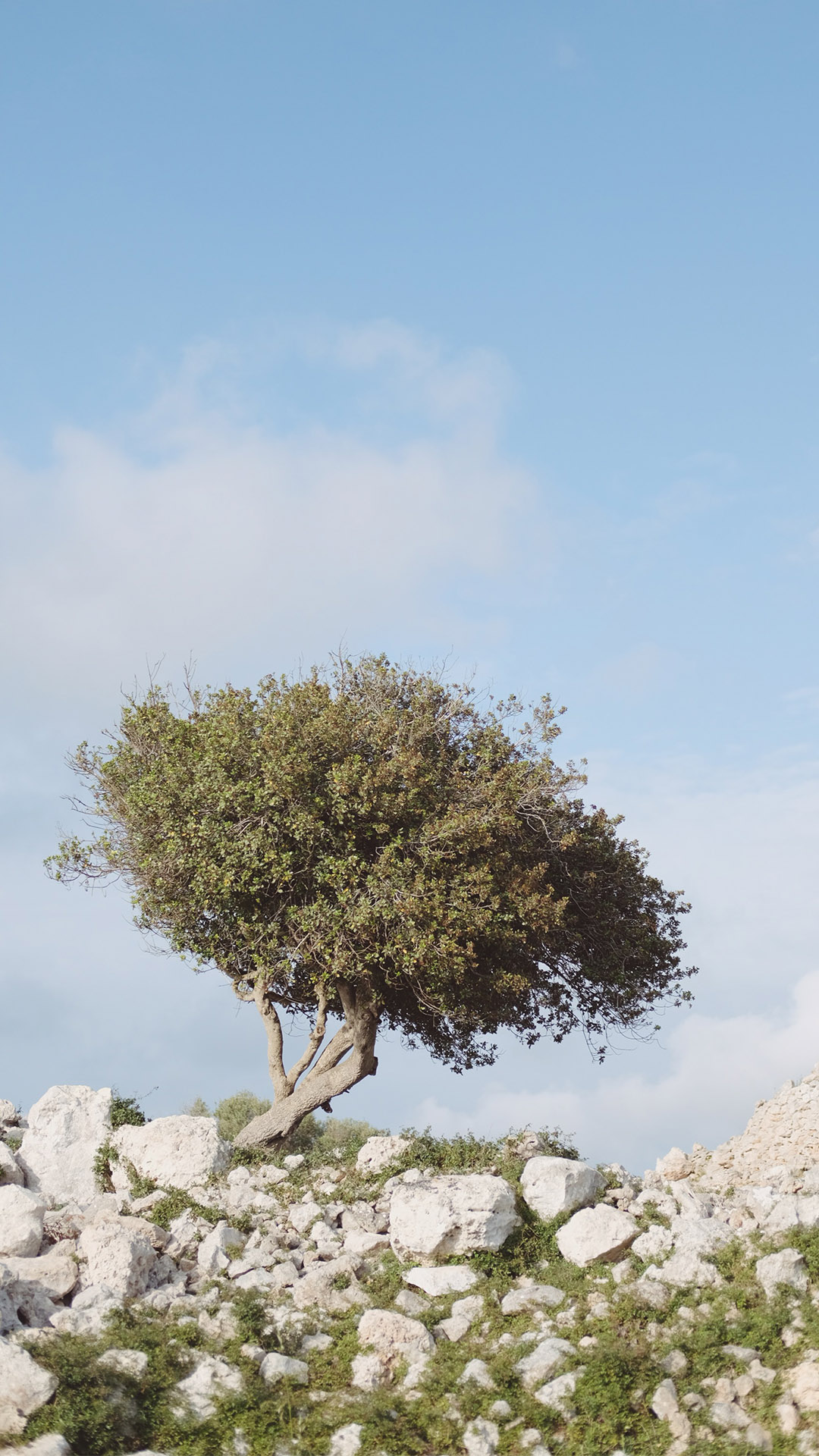 Illa de Menorca